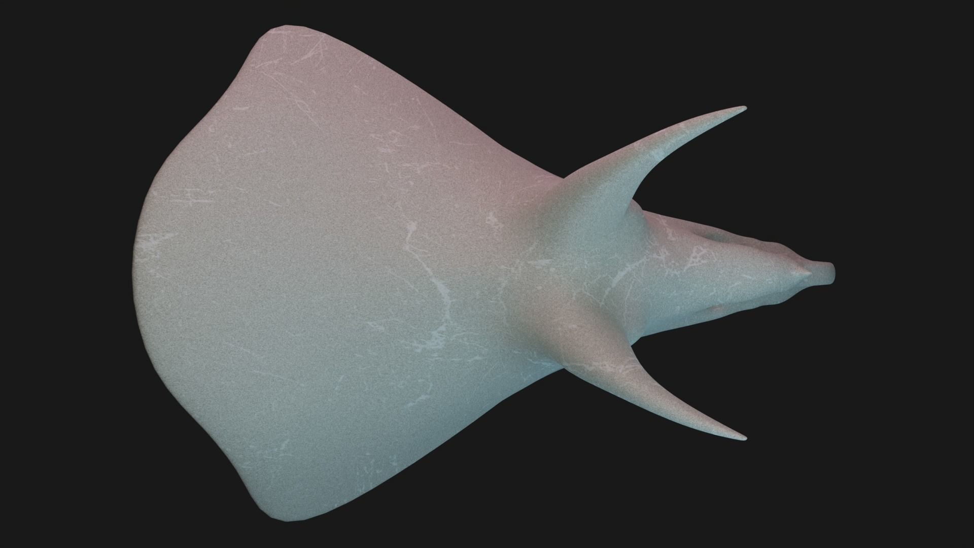 Triceratops skull 3D model_6