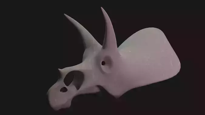 Triceratops skull 3D model