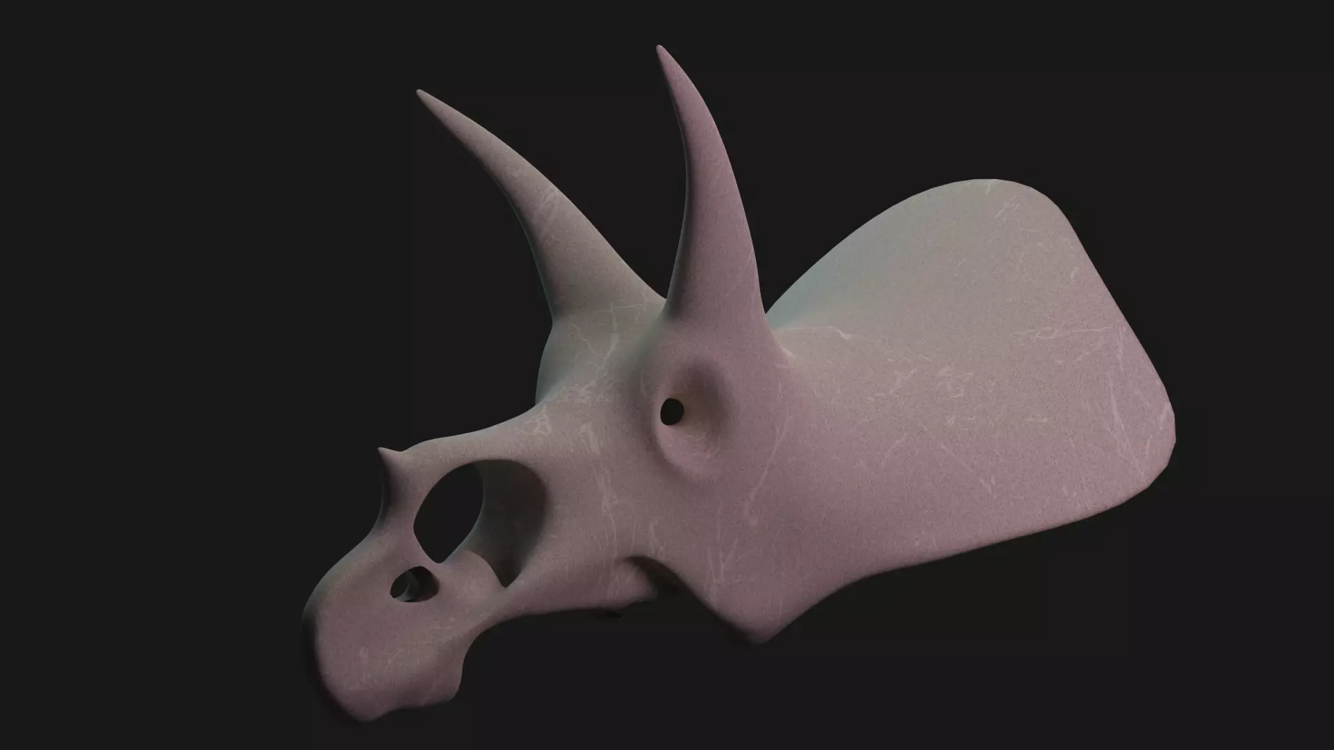 Triceratops skull 3D model_0