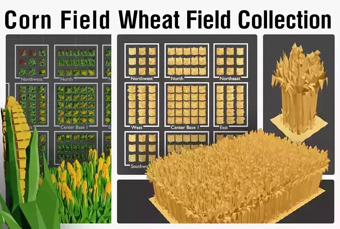 Corn Wheat Field 3D Model Collection