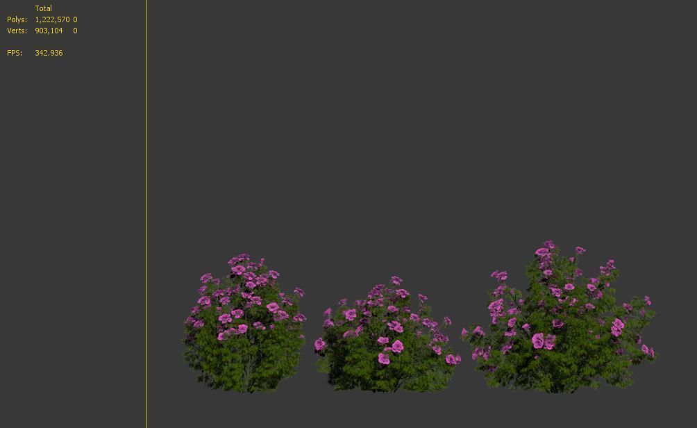 Rose bush 3D model_7