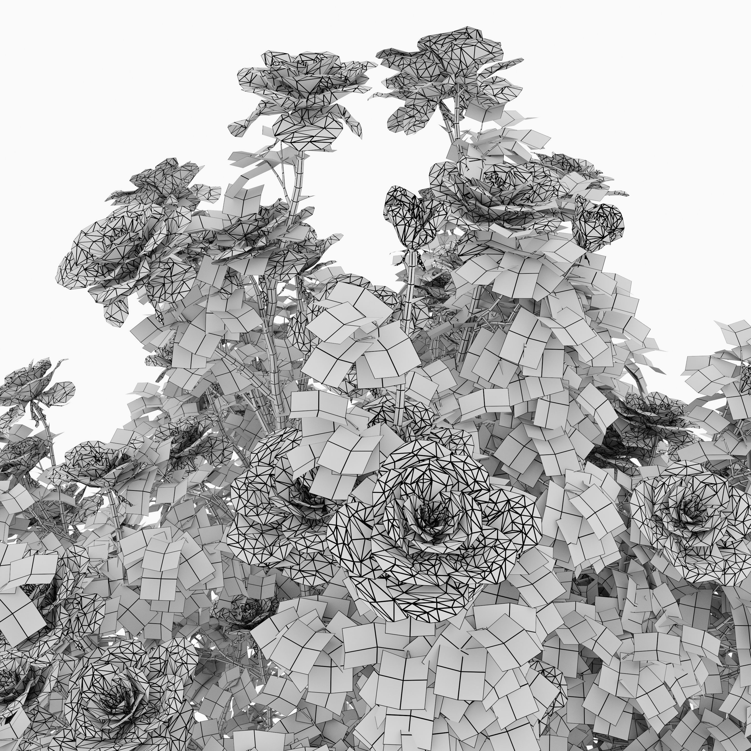 Rose bush 3D model_6