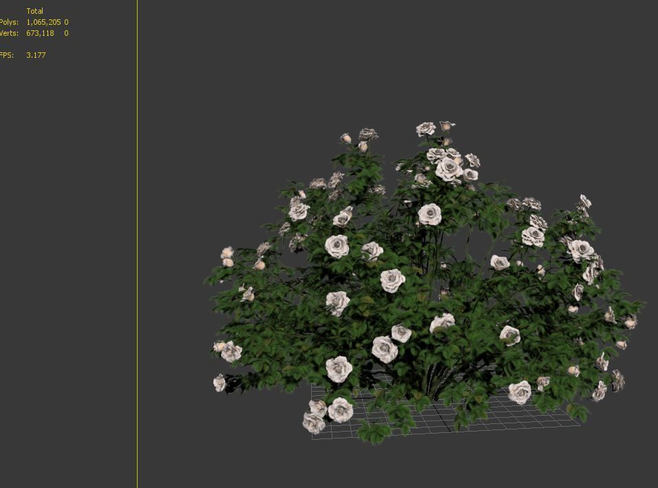 Rose bush 02 3D model_7