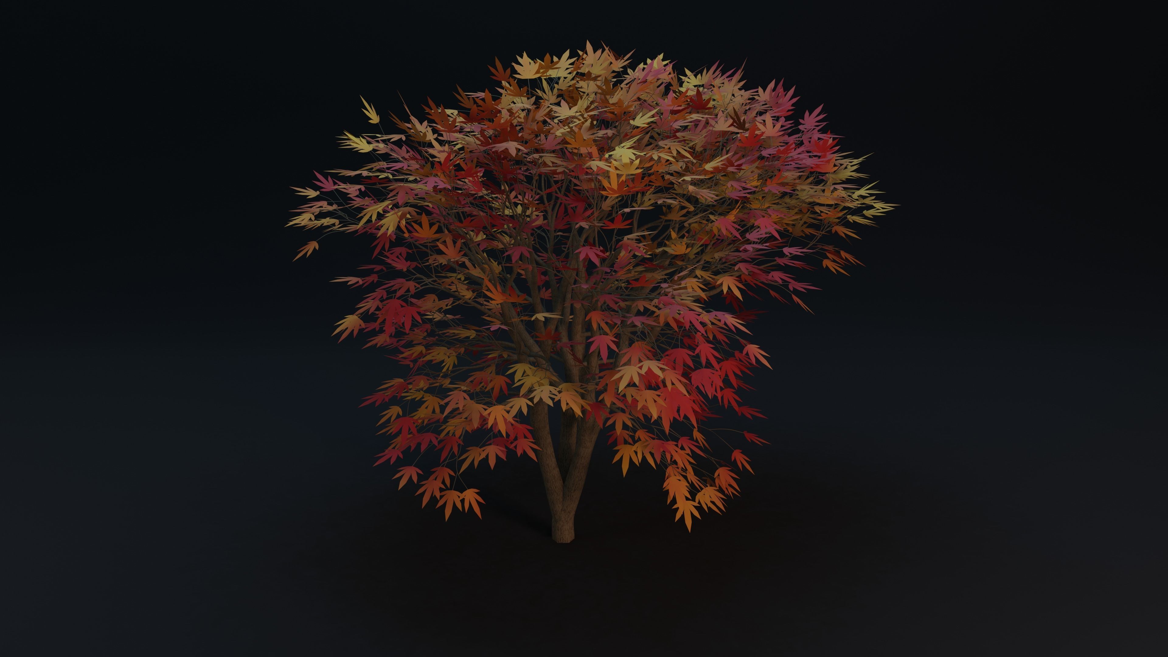 Maple tree with procedural texture Low-poly 3D model_2
