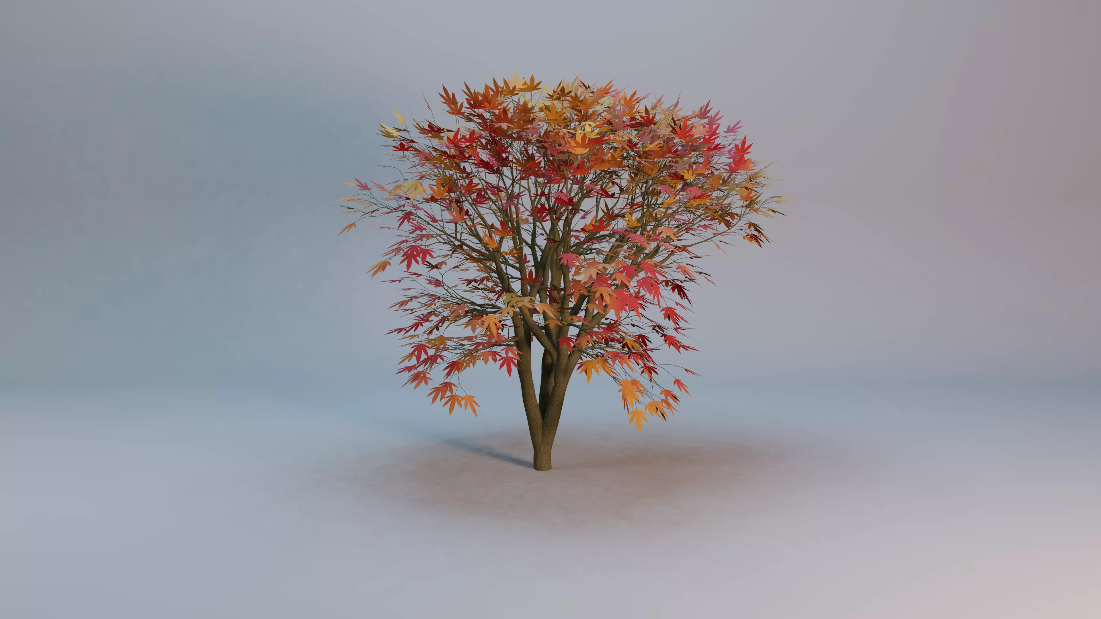 Maple tree with procedural texture Low-poly 3D model_0