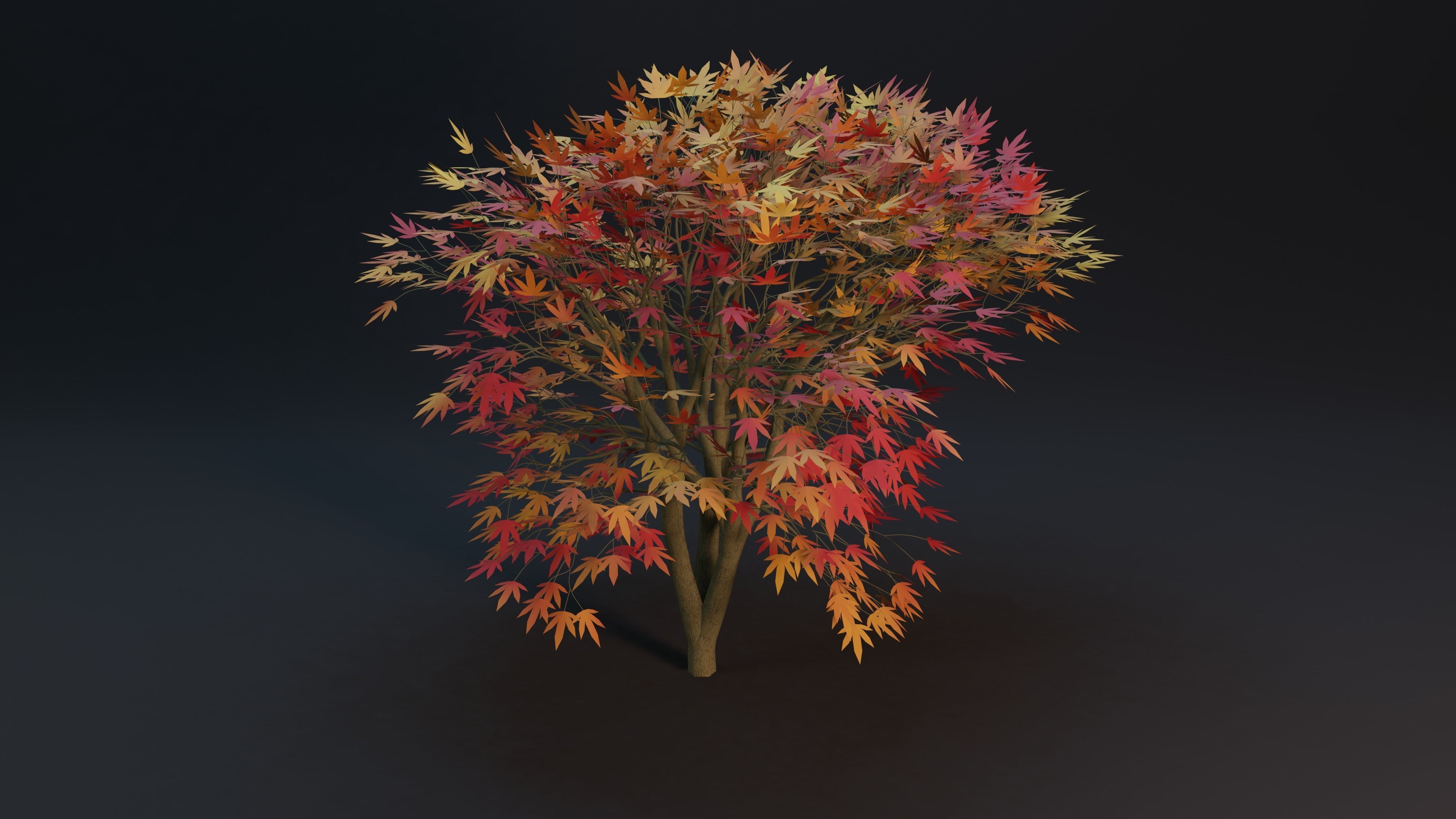 Maple tree with procedural texture Low-poly 3D model_1
