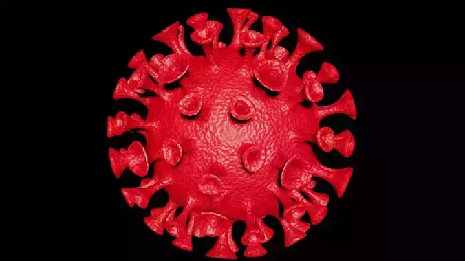 corona model coronavirus