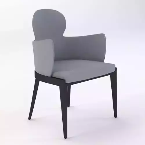 Allure Pls Dining Armchair