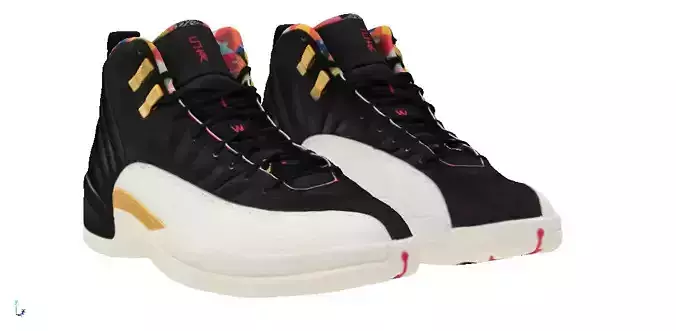 Nike Air Jordan 12 black white