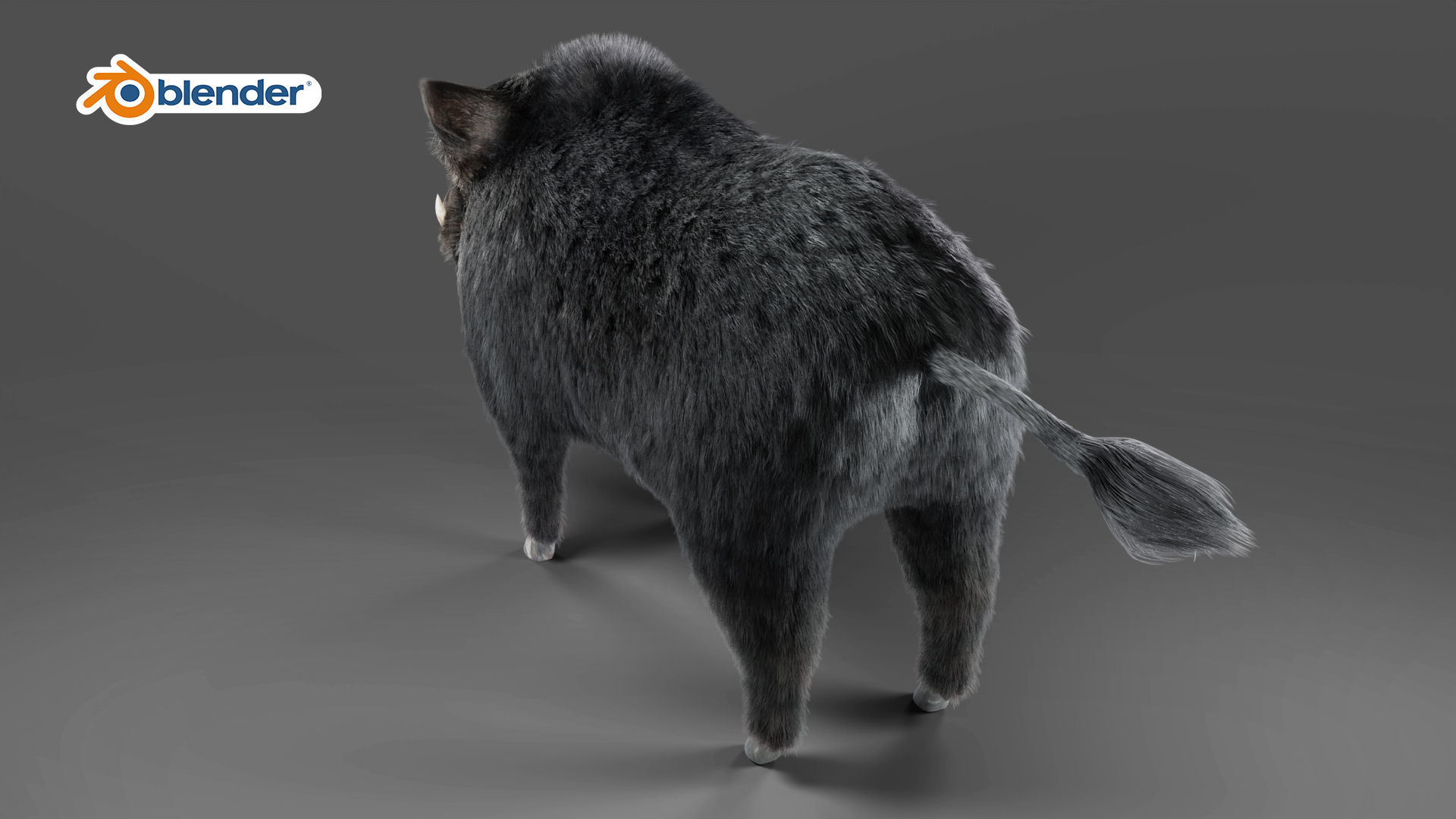Fur Black Wild Boar Rigged in Blender Low-poly 3D model_4