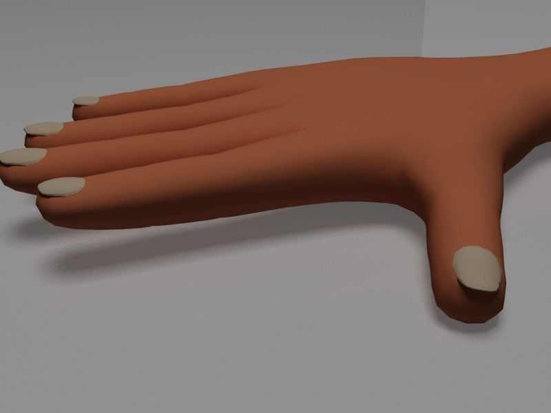 Hand model human Low-poly 3D model_9