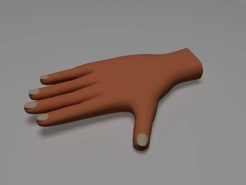 Hand model human Low-poly 3D model_0