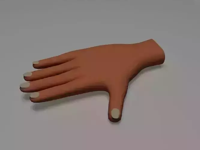 Hand model human