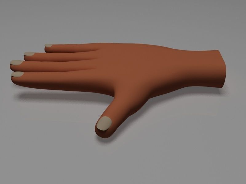 Hand model human Low-poly 3D model_1