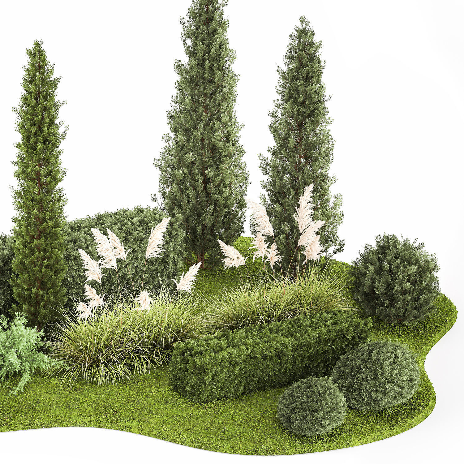 Garden of thuja and cypress trees with pampas grass bushes 1152 3D model_3