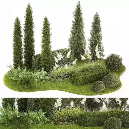 Garden of thuja and cypress trees with pampas grass bushes 1152 3D model