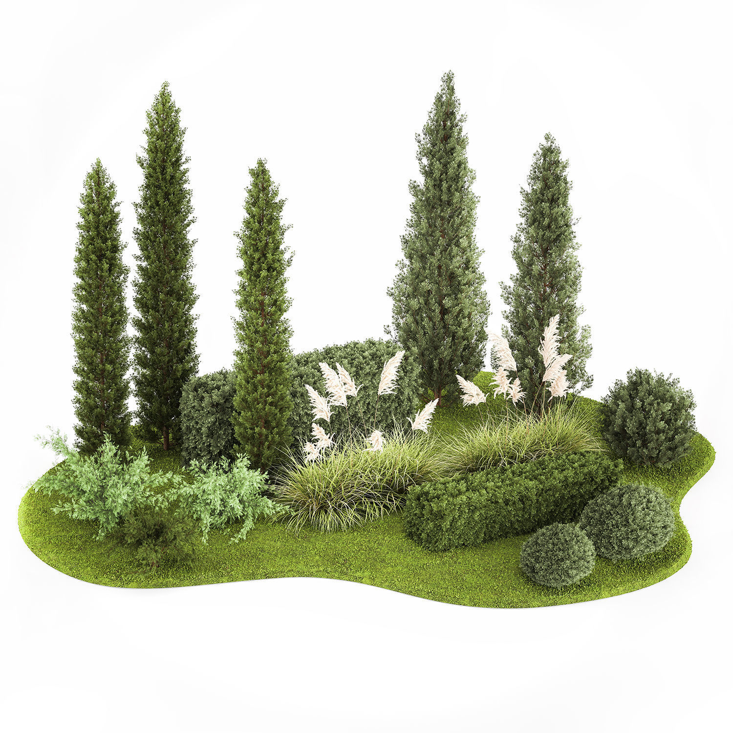 Garden of thuja and cypress trees with pampas grass bushes 1152 3D model_1