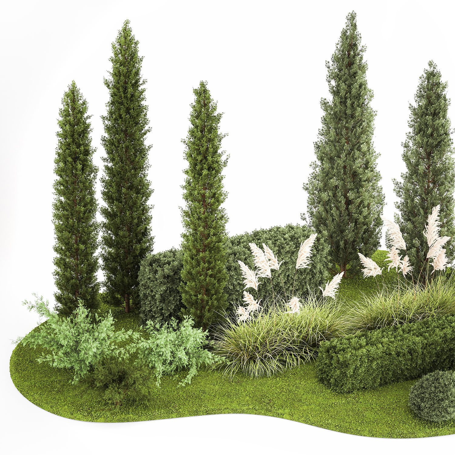 Garden of thuja and cypress trees with pampas grass bushes 1152 3D model_2