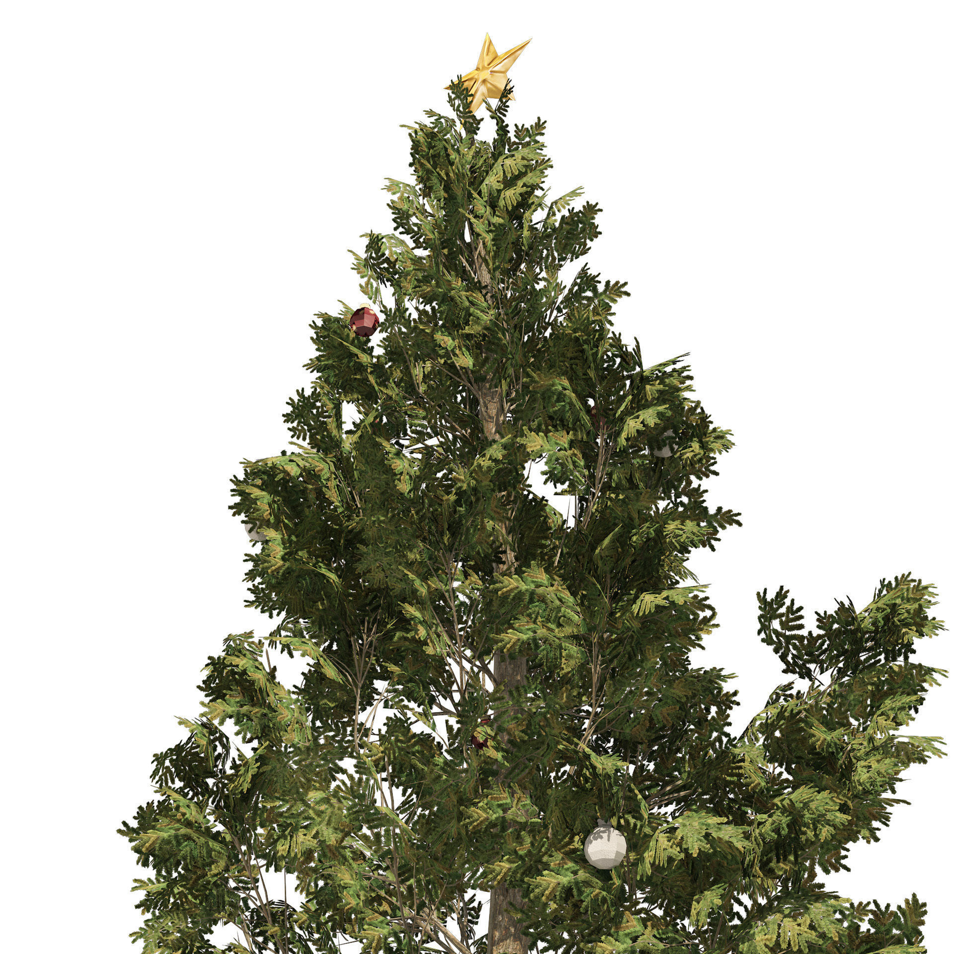 2 outdoor Christmas trees with wood fence 3D model_1