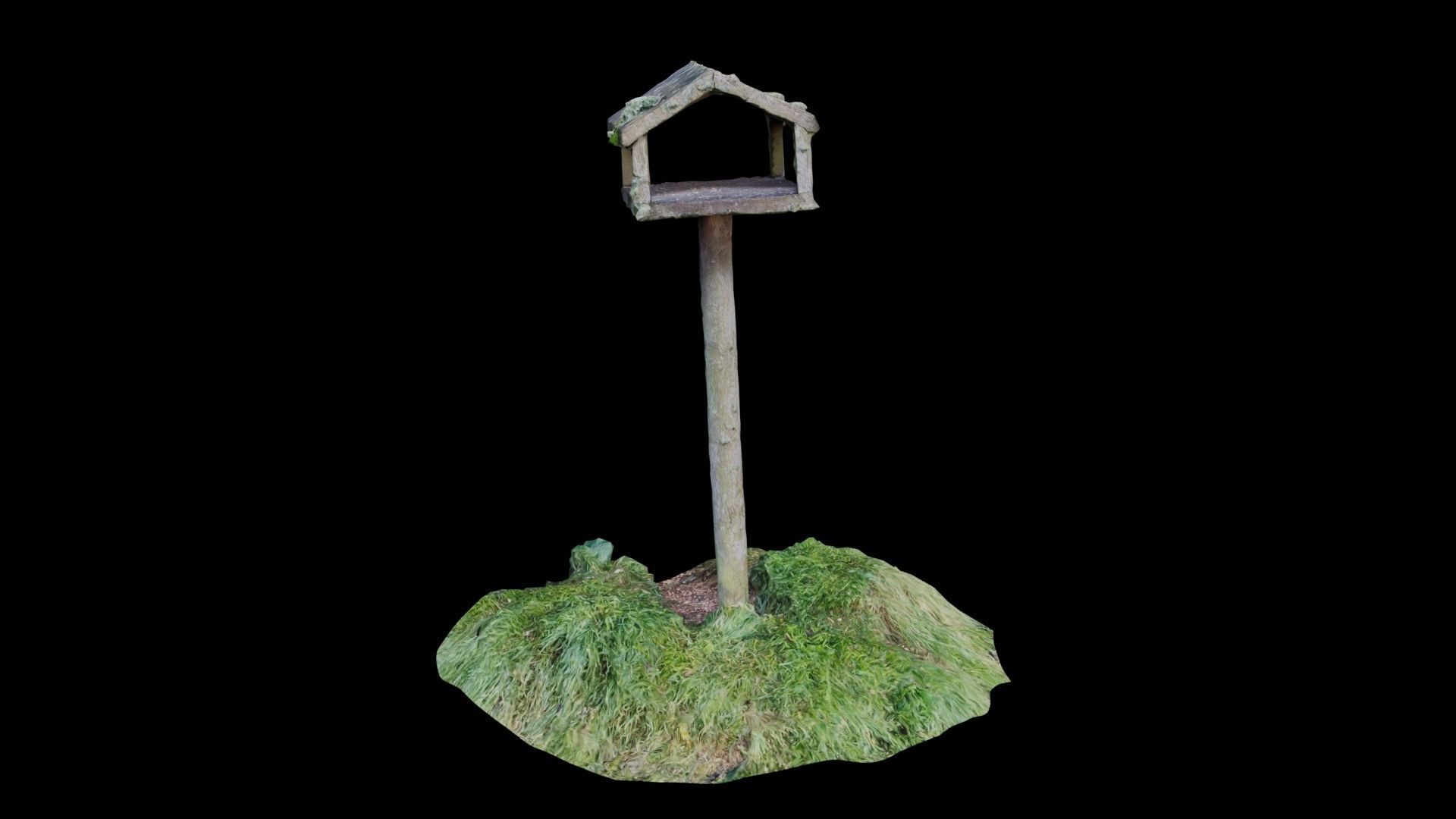Bird House Table Photoscan Low-poly 3D model_8