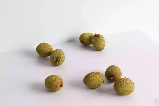 Lychee 3D model