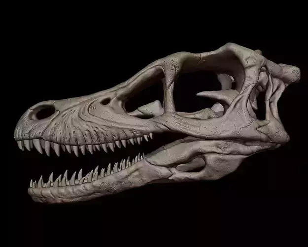 Velociraptor Skull 3d Print Model 3D print model