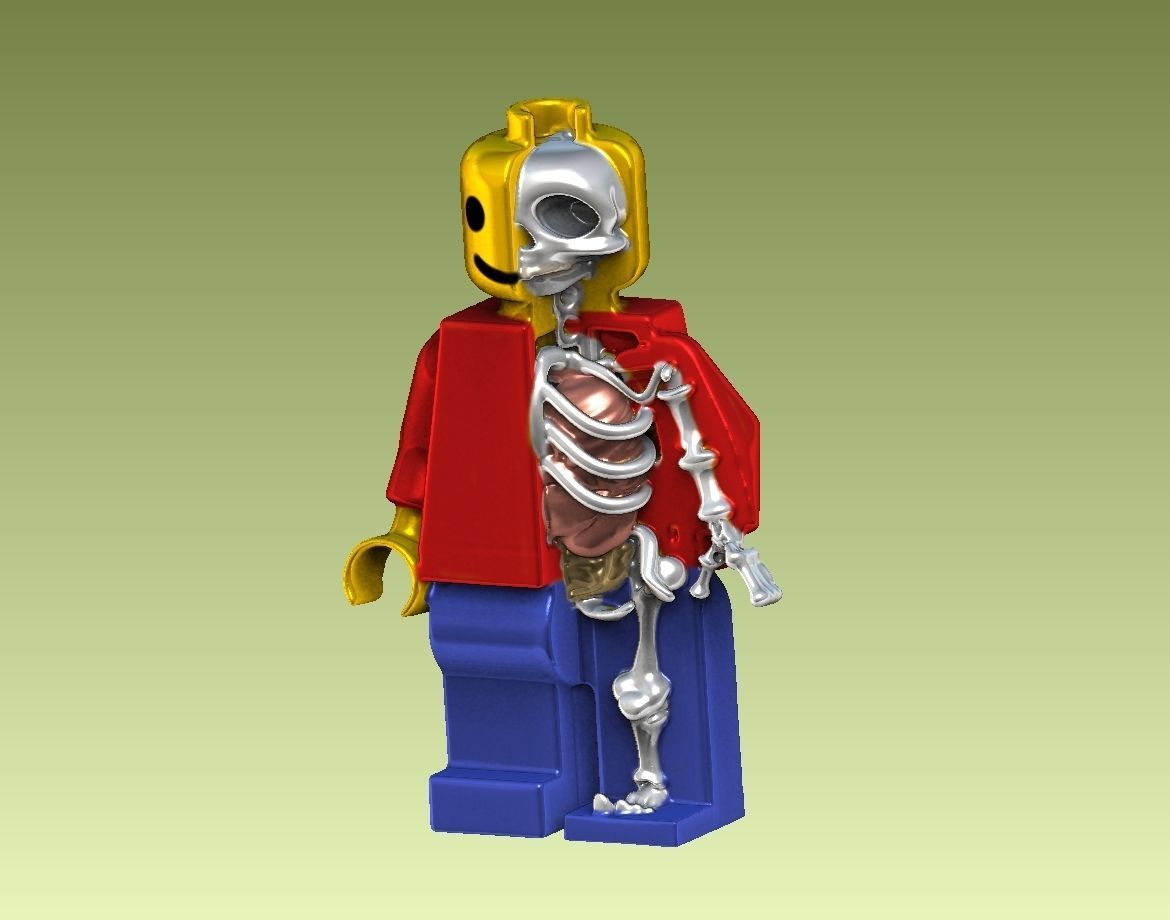Anatomical LEGO man 3D model 3D printable CGTrader