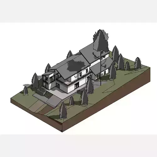 Triangle house - Revit 3D model