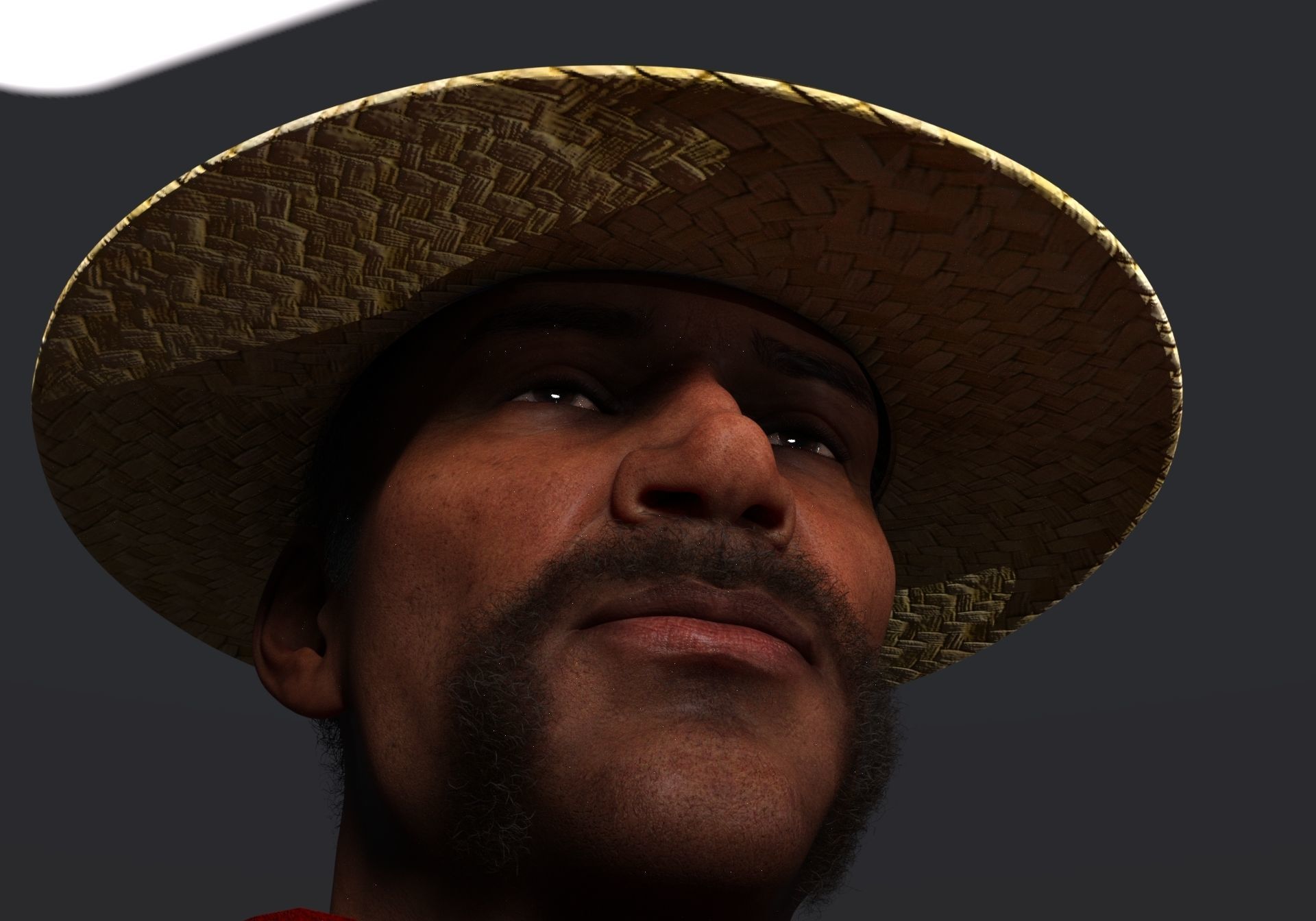 Boater Hat Package 3D model_8