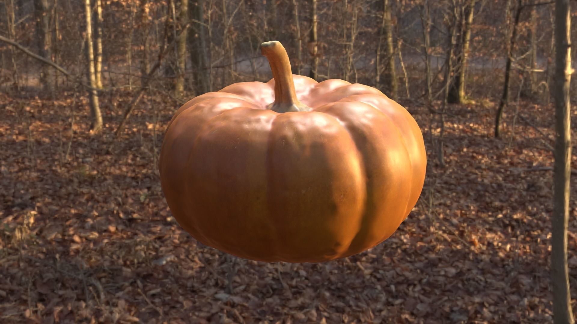 Decorative Gourd Pumpkin Squash Orange 3D Scan 3D model_25