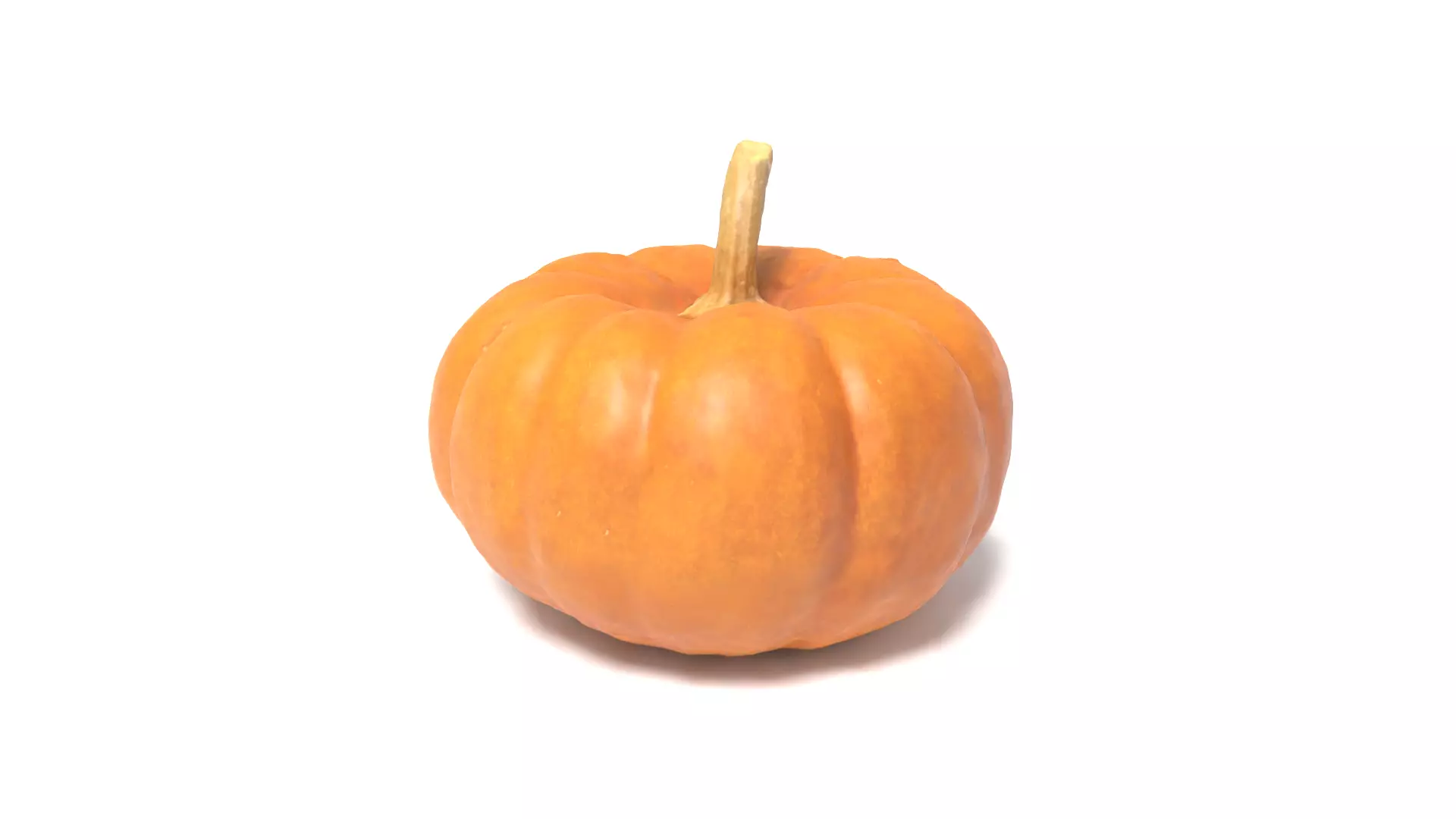 Decorative Gourd Pumpkin Squash Orange 3D Scan 3D model_0