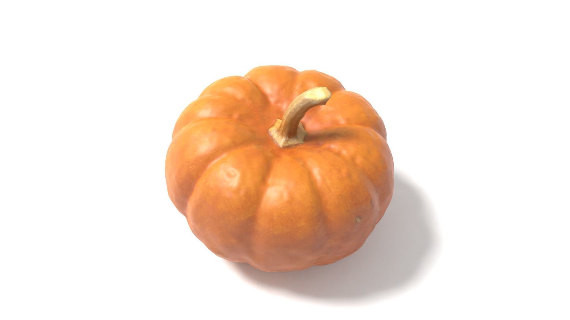 Decorative Gourd Pumpkin Squash Orange 3D Scan 3D model_6