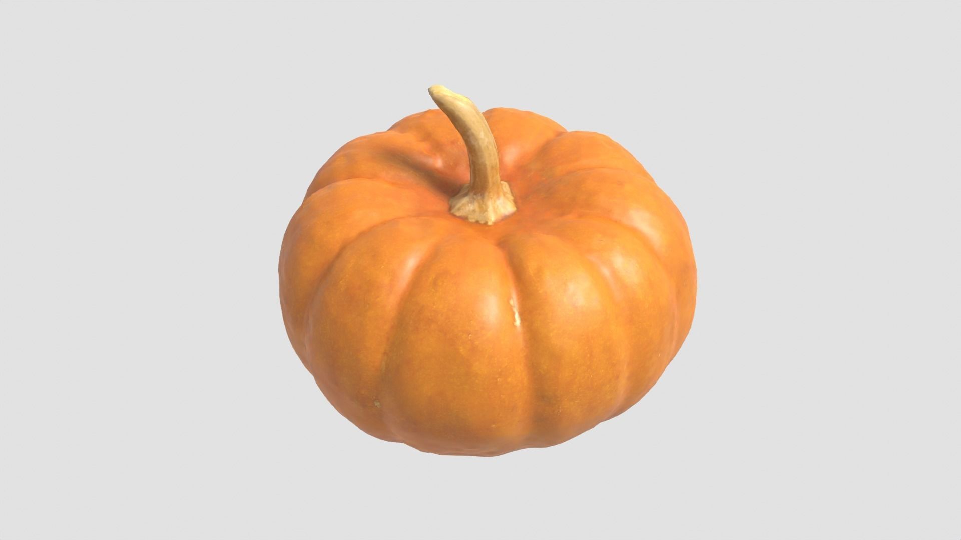 Decorative Gourd Pumpkin Squash Orange 3D Scan 3D model_12