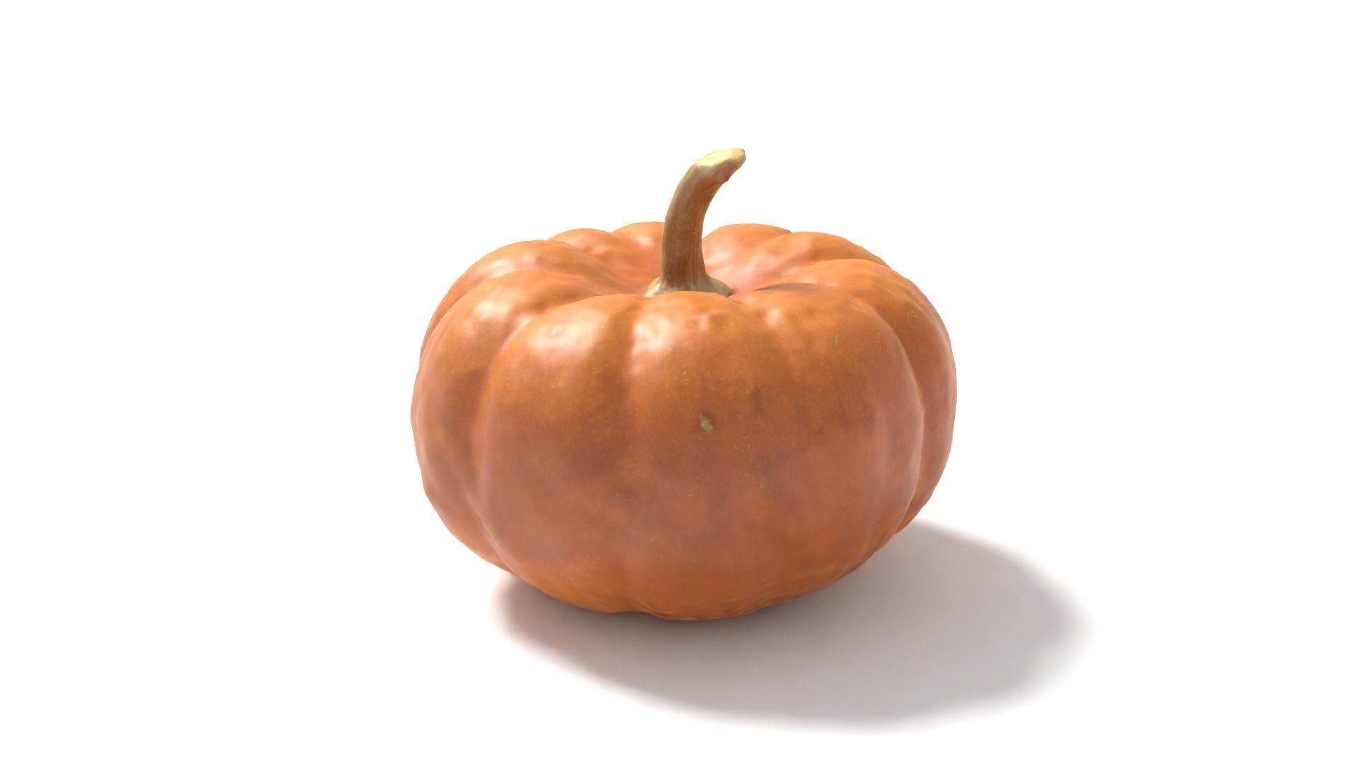 Decorative Gourd Pumpkin Squash Orange 3D Scan 3D model_3