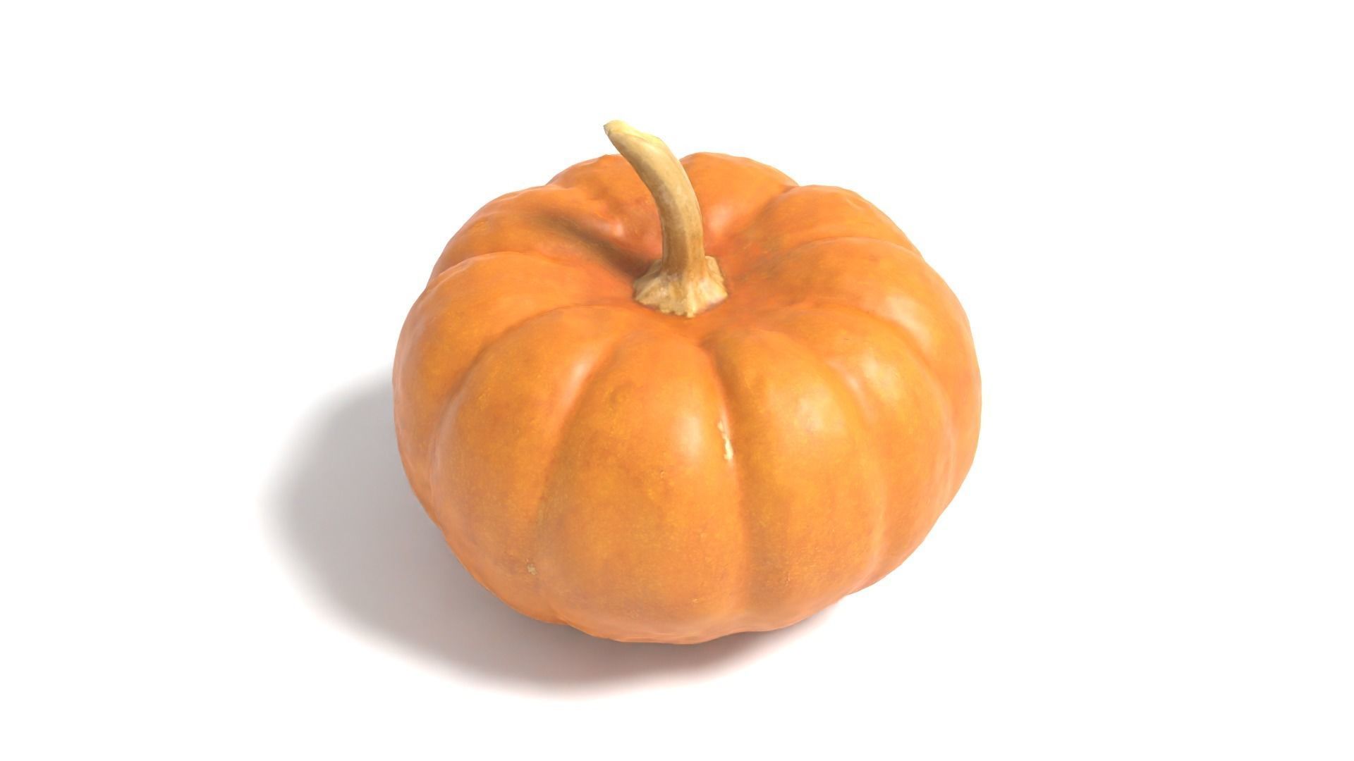 Decorative Gourd Pumpkin Squash Orange 3D Scan 3D model_5