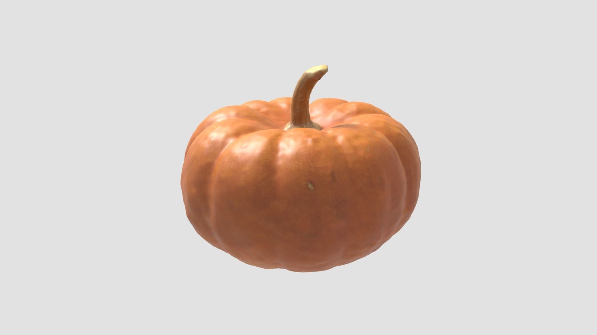 Decorative Gourd Pumpkin Squash Orange 3D Scan 3D model_10