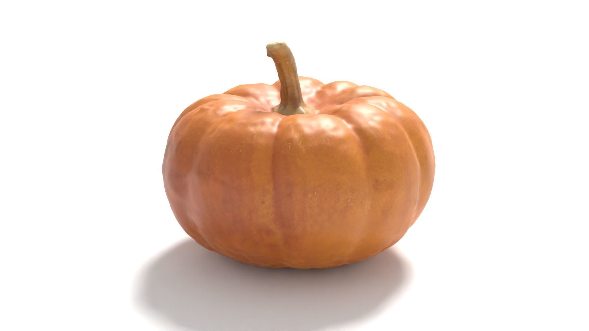 Decorative Gourd Pumpkin Squash Orange 3D Scan 3D model_4