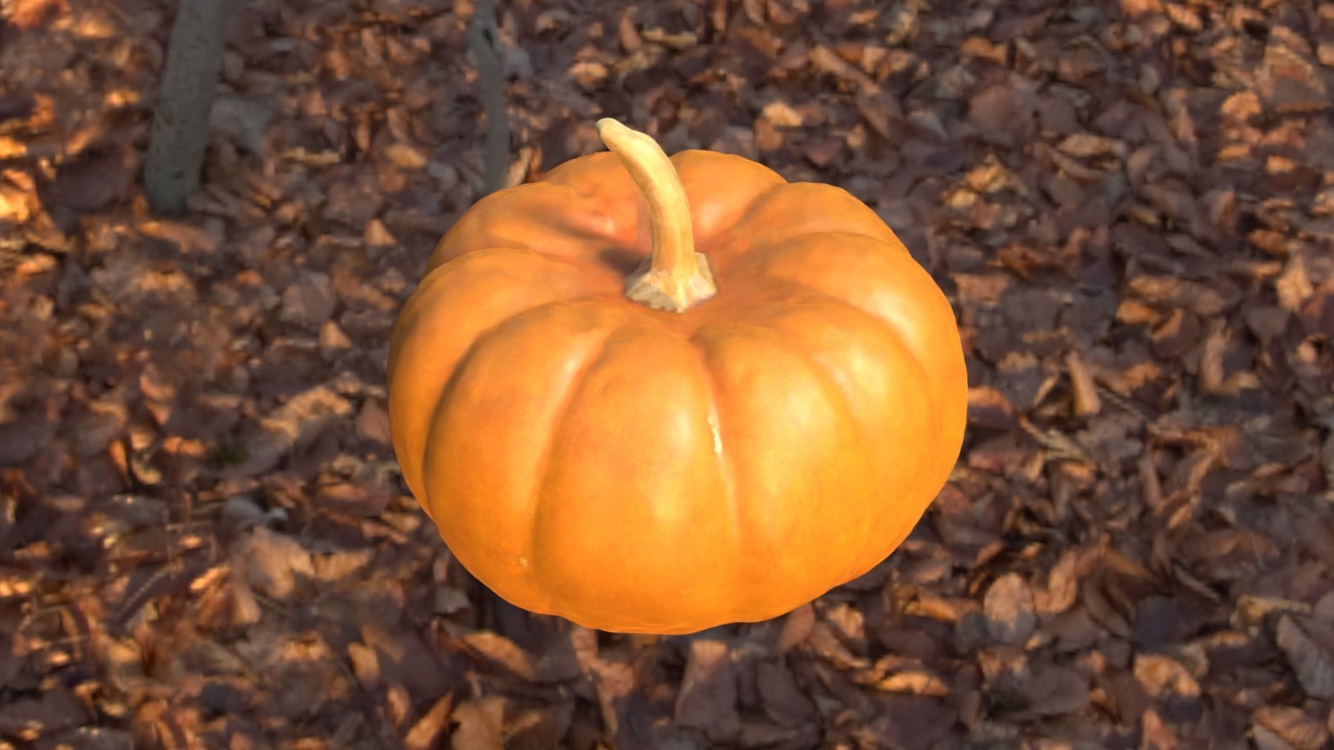 Decorative Gourd Pumpkin Squash Orange 3D Scan 3D model_26