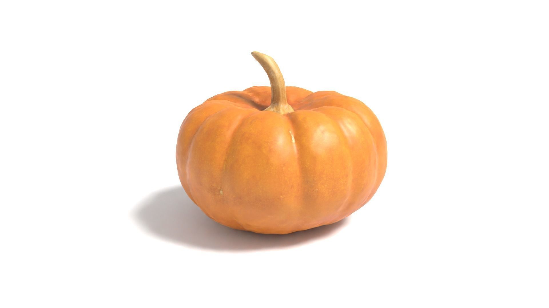 Decorative Gourd Pumpkin Squash Orange 3D Scan 3D model_2