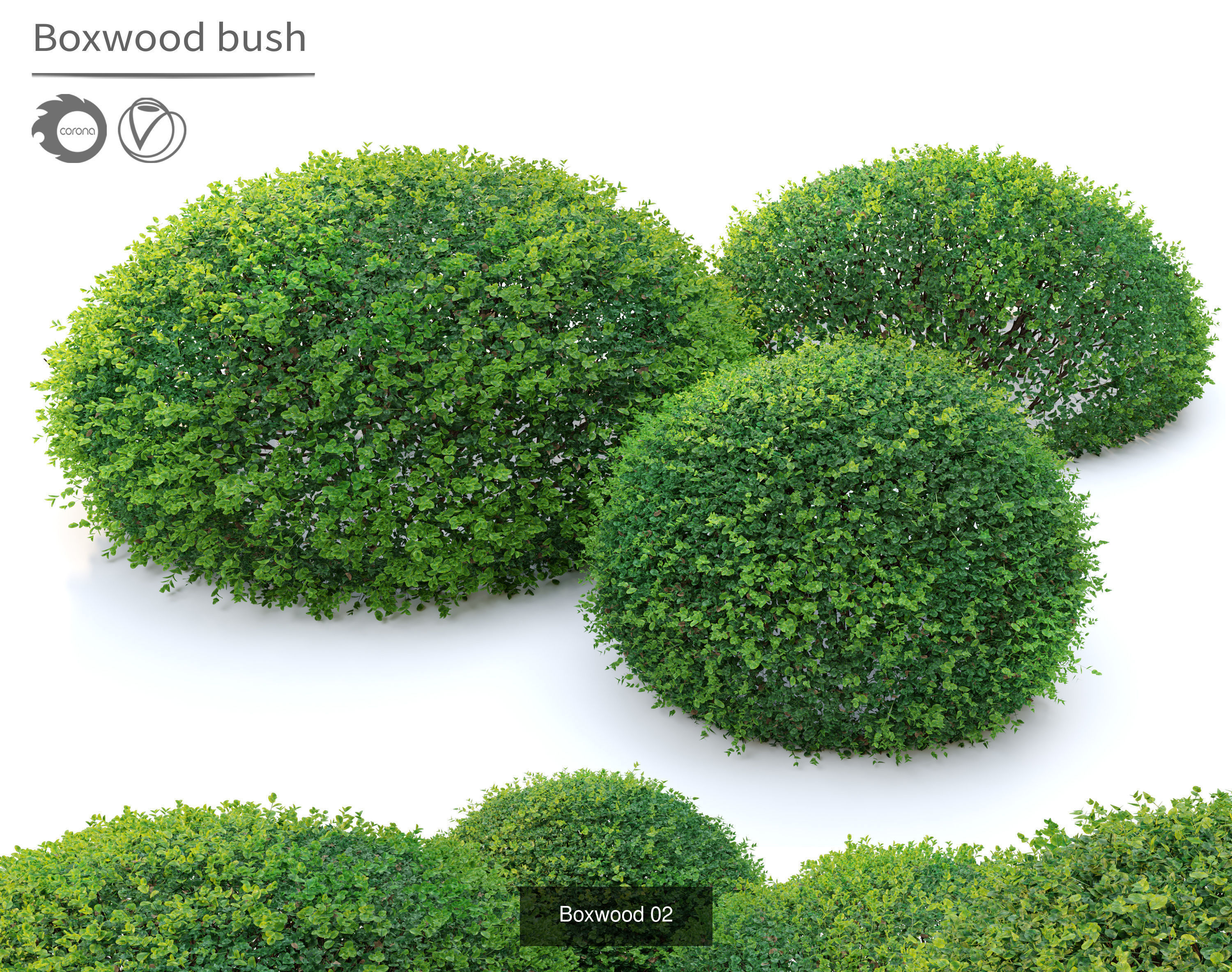 Garden bush 3D Model Collection_3