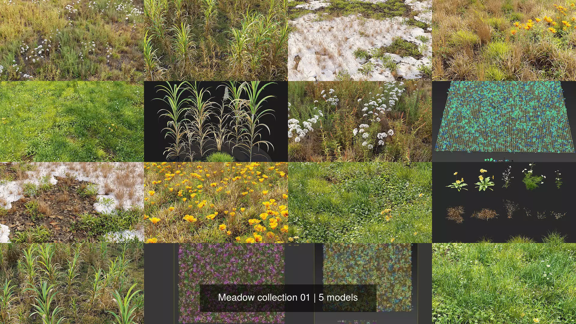 Meadow collection 01 _1