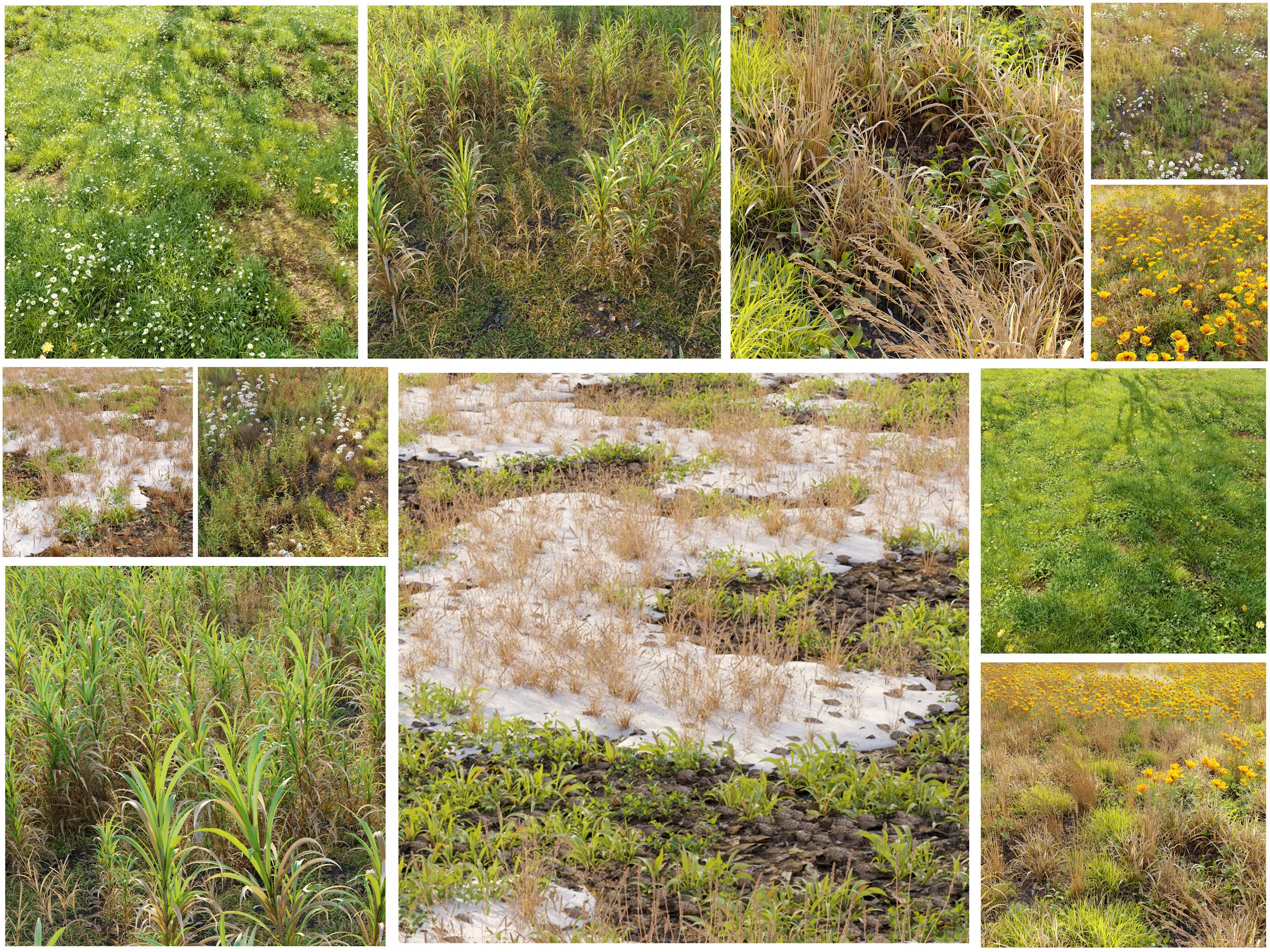 Meadow collection 01 _0