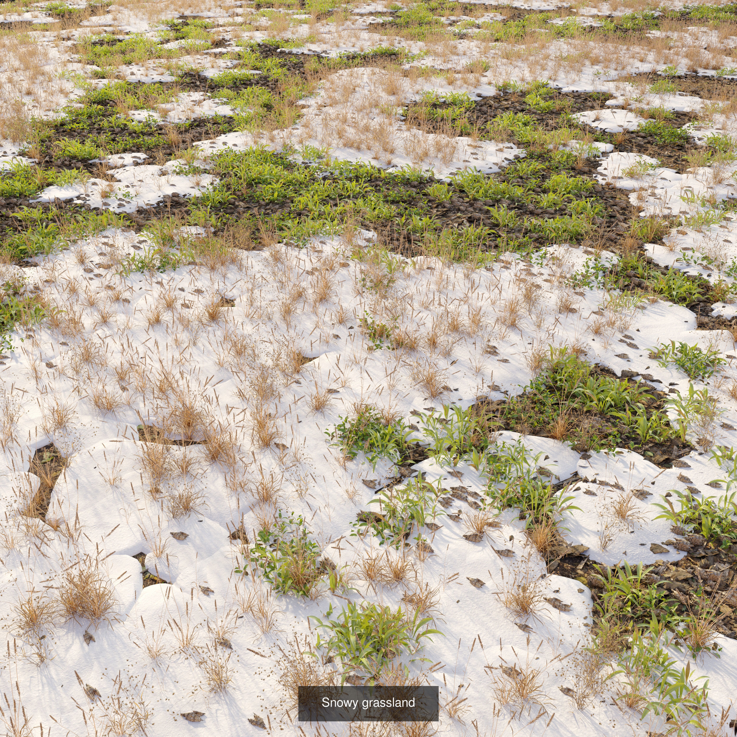 Meadow collection 01 _4