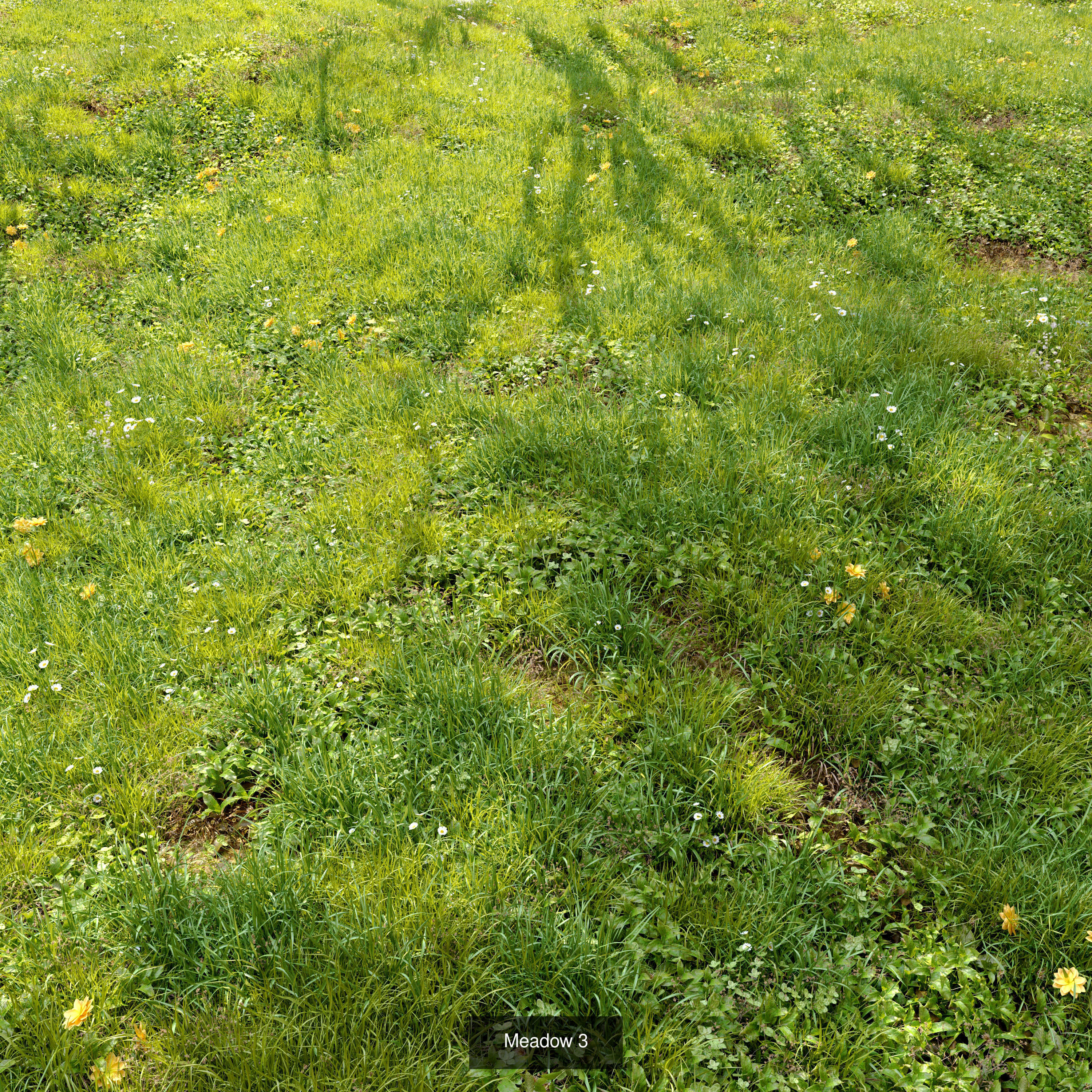 Meadow collection 01 _6