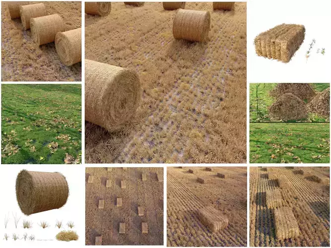 Grass field collection 