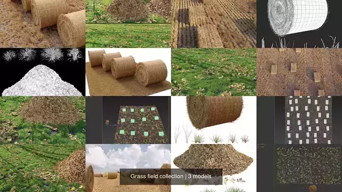 Grass field collection