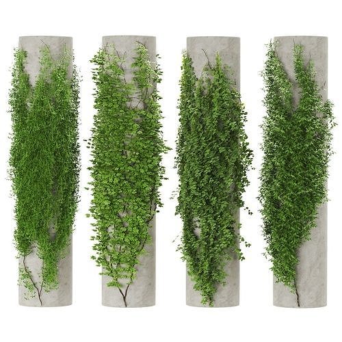 Plants02 ivy wall planter 3D model