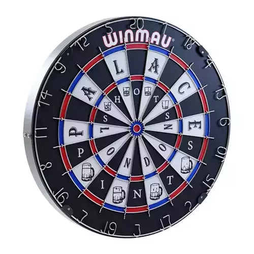 Palace x Winmau Dartboard