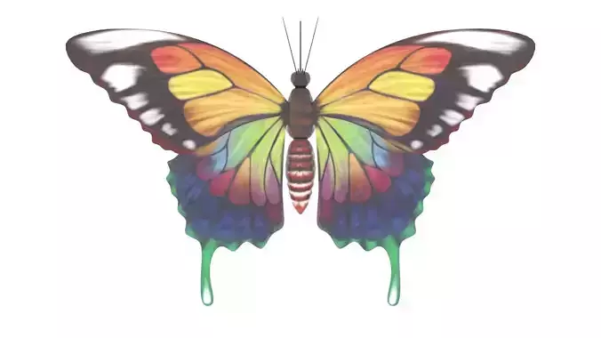 Butterfly 3D Model colorful