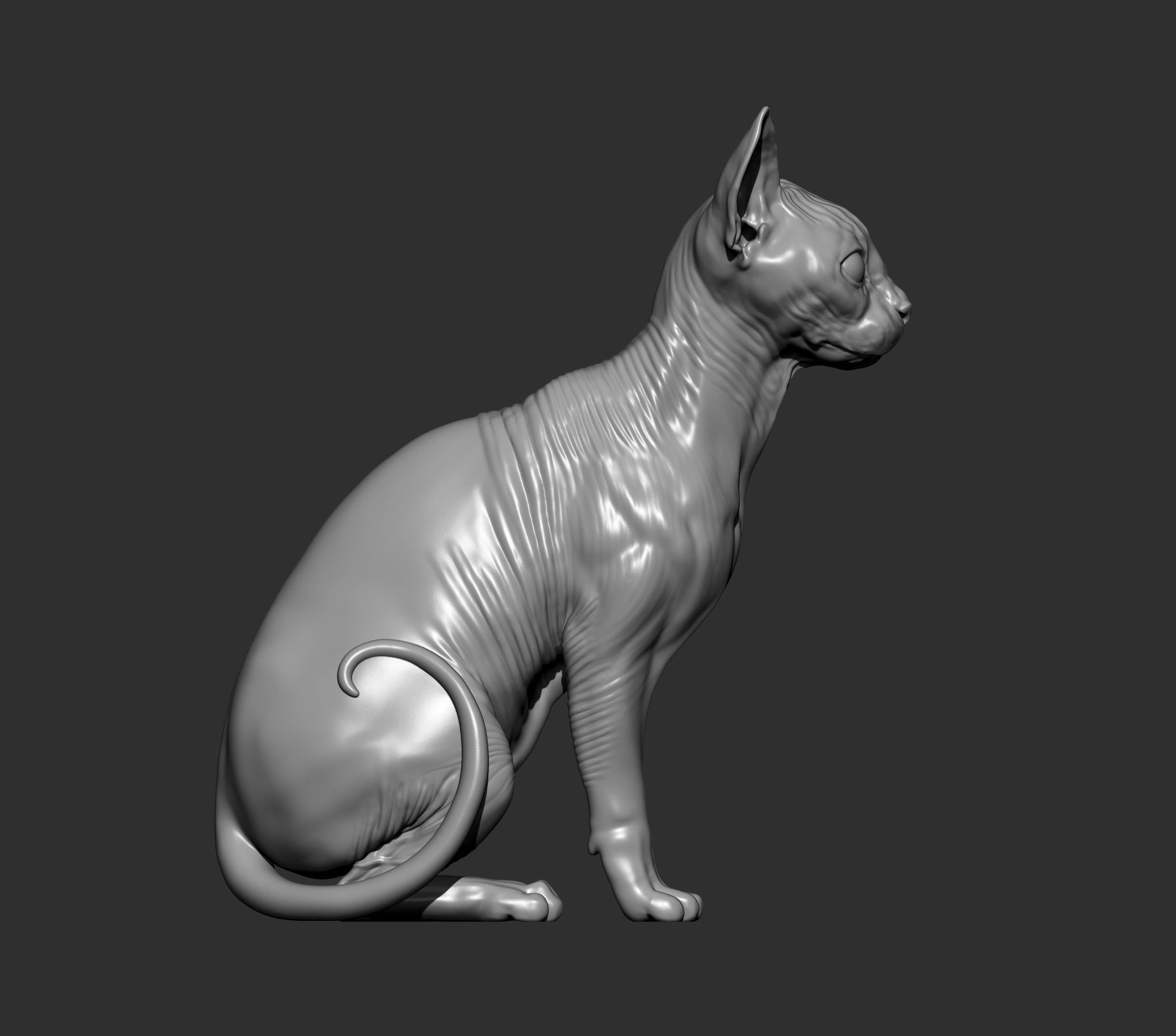 sphinx cat 3D print model_13